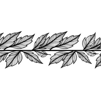 A delicate hand drawn seamless pattern border composed of repeating elongated leaves with intricate vein details vector