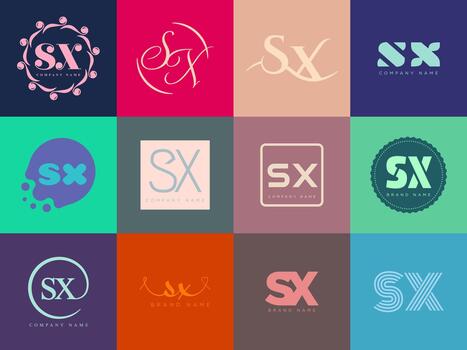 sx logo modelo. letra s y X logotipo conjunto diferente clásico serif letras y moderno negrita texto con diseño elementos. inicial fuente tipografía. vector