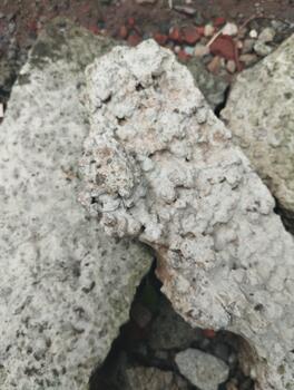 Close-up photo of split concrete with a rough surface and clear cracks, soft light. Supports AI training for visual classification.