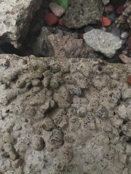 Macro photography of concrete stone texture with pore and aggregate details, natural lighting. Suitable for AI material recognition datasets. photo