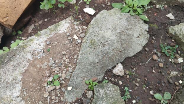 Top view photo of rocks and soil with natural cracks and natural lighting. Good for training AI surface pattern detection.
