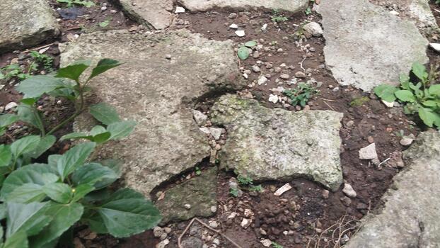 A top-view photo of natural stone on the ground with a rough texture and thin moss, in natural lighting. Suitable for AI datasets for surface texture recognition.