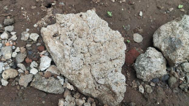 Macro photography of a weathered concrete structure with micro-holes, under daylight lighting. Suitable for AI training texture classification. photo