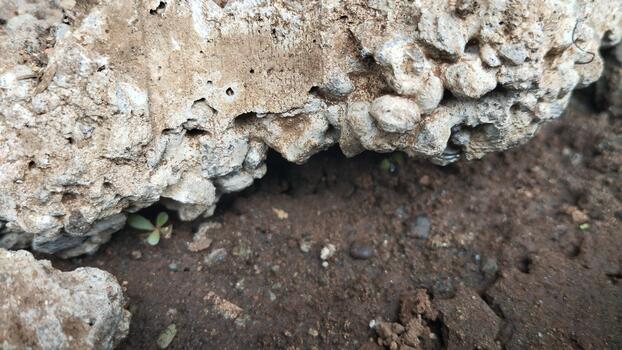 Close-up photo of a damaged concrete surface with an irregular pattern, in natural lighting. Relevant for visual AI learning.