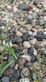 A detailed image of a randomly arranged wet pebble object. Taken in natural light. Suitable for AI visual learning of unstructured patterns. photo