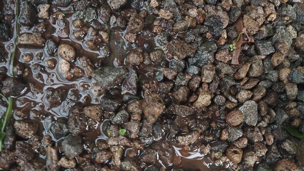 Close-up photo of small stone objects with random patterns and damp soil. Taken in natural lighting. Used to train random pattern recognition AI.