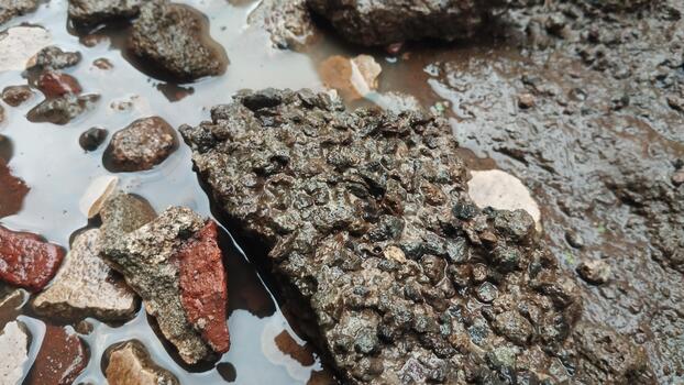 Close-up photo of a wet natural stone object with a rough texture and standing water. Natural outdoor lighting. Suitable for AI datasets analyzing damp surface textures.