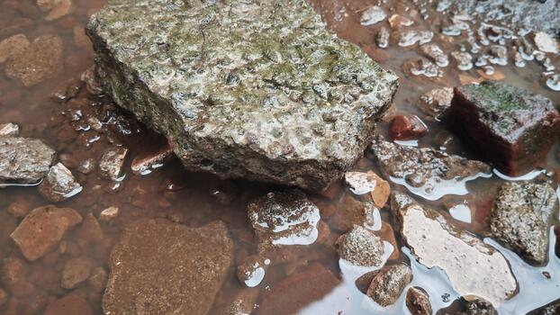 Detailed photo of a natural stone object with an uneven texture. Diffused natural light. Suitable for AI visual learning in wet environments.