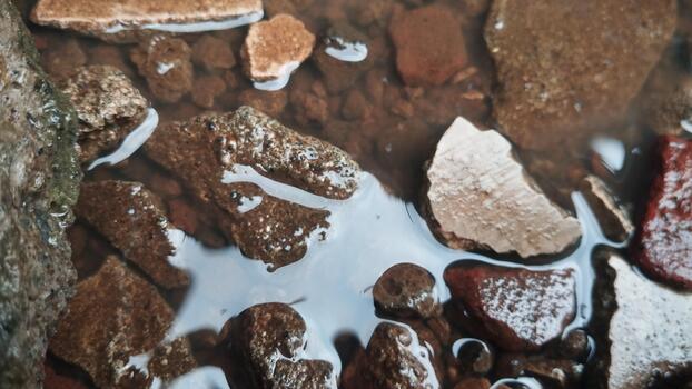 Close-up photos of damp soil and rock textures with natural lighting, supporting AI datasets for weather condition detection.