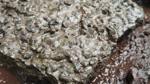 Textured photograph of wet stone objects with varying shapes and sizes. Taken without artificial lighting. Suitable for AI visual variation learning. photo
