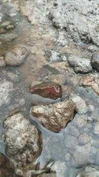 A close-up of the texture of wet cement with water and small pebbles. Taken in low natural light. Suitable for AI training on wet environment recognition. photo