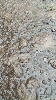 Photo of a cement and stone surface after rain with water pooling. Diffuse natural light. Suitable for AI datasets of road surface conditions.
