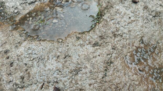 A close-up photo of a damp stone surface with a rough texture and a small puddle of water. Taken in natural light on a cloudy day. Suitable as visual data for training AI to recognize wet textures.