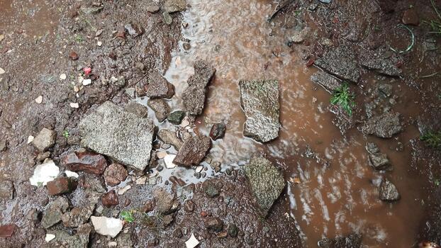 parte superior ver foto de húmedo rock y suelo superficie con natural textura después lluvia, adecuado para superficie textura reconocimiento ai formación conjunto de datos