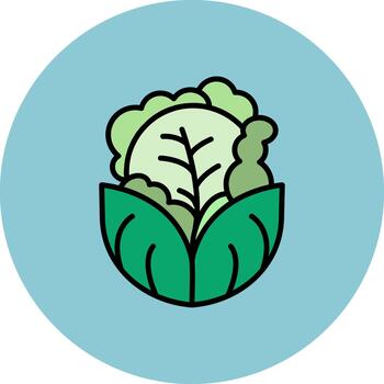 Cabbage Advanced Shape Texture vector