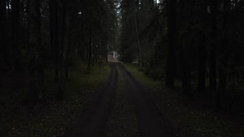 långsam rörelse på de väg i de gran skog i de kväll i vår bakgrund. först person se. video