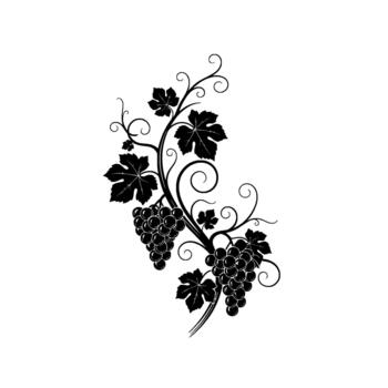 Elegant silhouette of ripe grape clusters intertwined with swirling vine tendrils and ornate grape leaves vector
