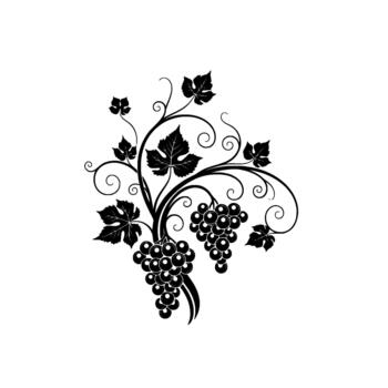 silhouette of a decorative grapevine with clusters of ripe grapes and swirling tendrils and leaves isolated vector