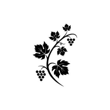 Elegant silhouette of a curved grape vine with clusters of dark grapes and intricately shaped leaves vector