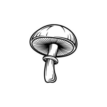 A striking line art illustration of a single edible mushroom seen from below showcasing its gill structure and ringed stem isolated vector