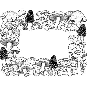 An intricate line art border frame composed of a diverse assortment of hand drawn mushrooms and fungi vector