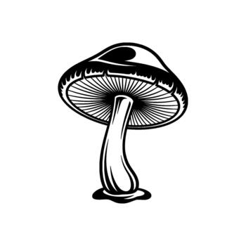 A detailed monochrome illustration of a single cap and stem mushroom with visible gills and a rounded cap isolated vector