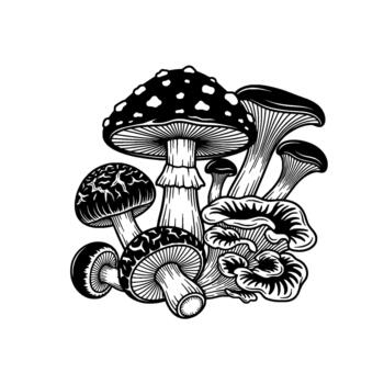 A detailed linework illustration of a cluster of assorted mushrooms featuring varied cap shapes gill structures and stem textures vector