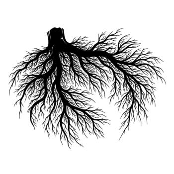 intrincado silueta de complejo árbol raíces extensión hacia fuera desde un central tocón vector