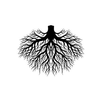 un sorprendentes silueta de intrincadamente detallado árbol raíces extensión hacia fuera en un radial modelo desde un central maletero base vector