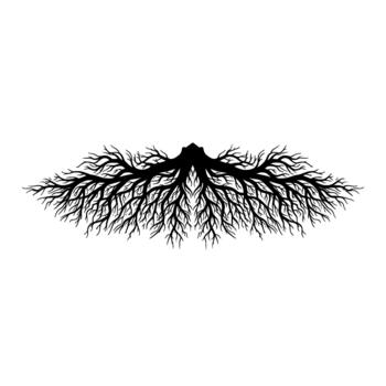 Intricate silhouette of a sprawling tree root system symmetrical branching extending outwards isolated vector