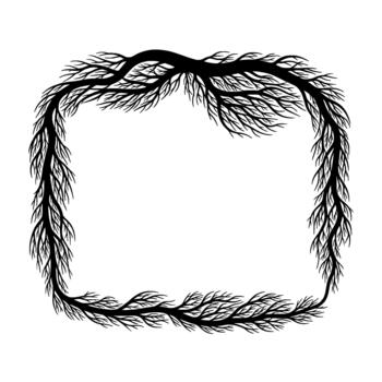 elegante silueta de un rústico orgánico árbol raíz marco con delicado derivación y vacío central espacio para texto o imágenes vector