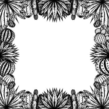 Hand drawn ink sketch frame of diverse desert succulents and cacti with intricate line art detail vector