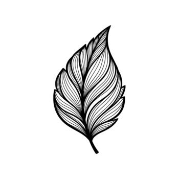 A stylized line art drawing of a single abstract leaf with flowing intricate vein patterns isolated vector