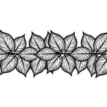 detallado esquelético hoja modelo frontera con intrincado vena detalles y un limpiar antecedentes vector