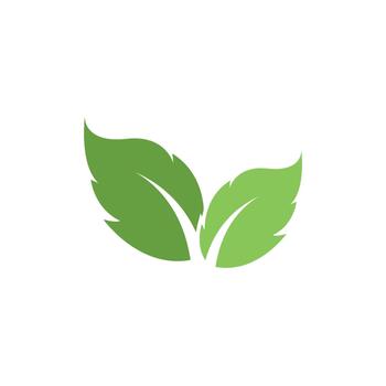 Green Mint leaf vector