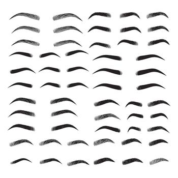 Creative Brow Shape Pack with Soft and Defined Styling Illustration vector