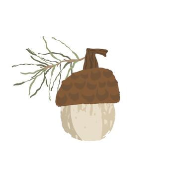A small acorn with a branch on top of it. The acorn is brown and white. vector