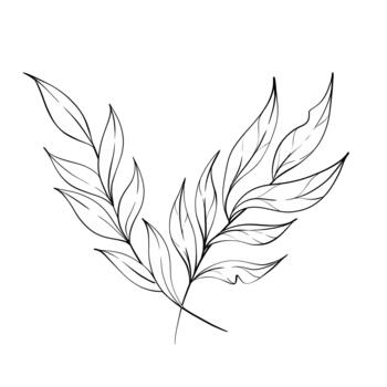 Featuring intricate outlines of botanical leaves this design captures the essence of nature through minimalistic art. vector
