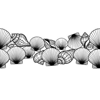 Detailed line art illustration of a diverse collection of seashell borders and oceanographic patterns arranged vector