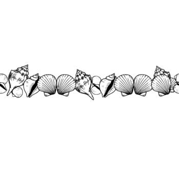 A detailed sketch of a repeating border pattern composed of various hand drawn seashells including conches and scallops isolated vector