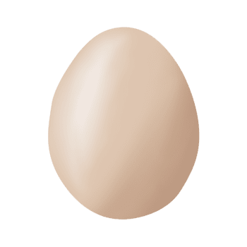 A single, tan-colored egg with subtle gradient shading floats against a transparent, light-gray checkered background, creating a simple, isolated, and neutral ambiance. png
