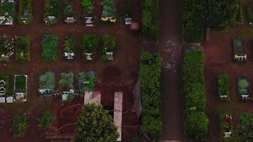 ordenadamente ordenou cemitério em Madeira perto funchal, aéreo topo baixa Visão mostra sepultura parcelas, central cascalho caminho, pedra cruzar, sempre-verde árvore, aberto enredo com pranchas e cordas. video