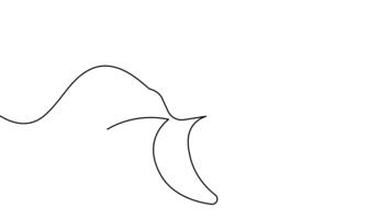 minimalistisk banan kontinuerlig linje teckning ikon slinga animering video