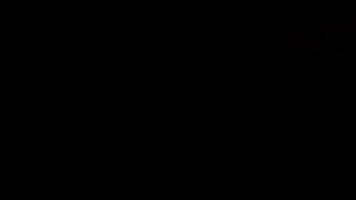 Abstract Geometric Pattern with Rotating Mandala and Circular Elements video