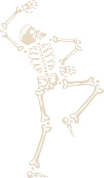 Skeleton dancing or falling with bones separating vector