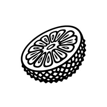 agrios segmento ilustración exhibiendo intrincado radial patrones y un texturizado corteza representando Fresco Fruta y sano comiendo conceptos vector