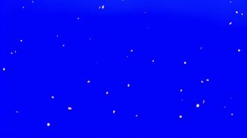 abstrakt blå bakgrund med mycket liten bubblor flytande uppåt, skapande en dynamisk och lugn visuell effekt. video