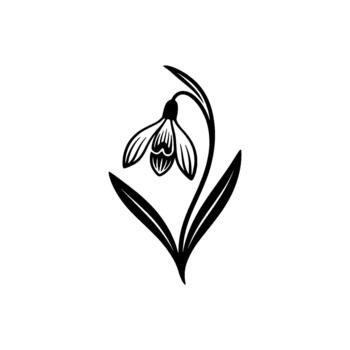 delicado campanilla de febrero florecer ilustración en un estilizado lineal Arte estilo representando primavera renovación y botánico conceptos vector