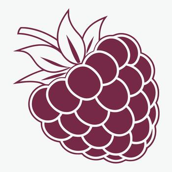 Purple Raspberry with Leaves Stem fruit vector