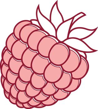 Raspberry with Leaves Outline fruit icon vector